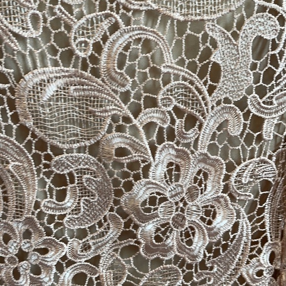 Joanna Hope Embroidered  Lace Ilusion Sheath Dress - Picture 3 of 10